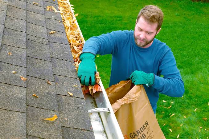 Professional gutter cleaning